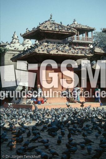 Nepal (23 von 124).jpg